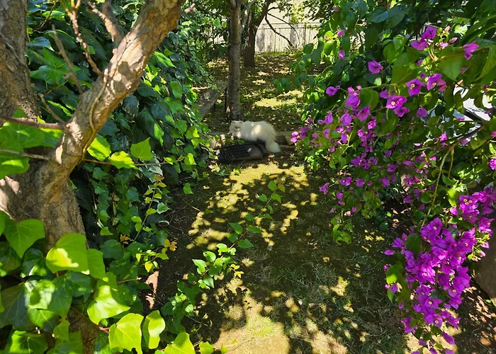 Διαμέρισμα L&s Πούλα